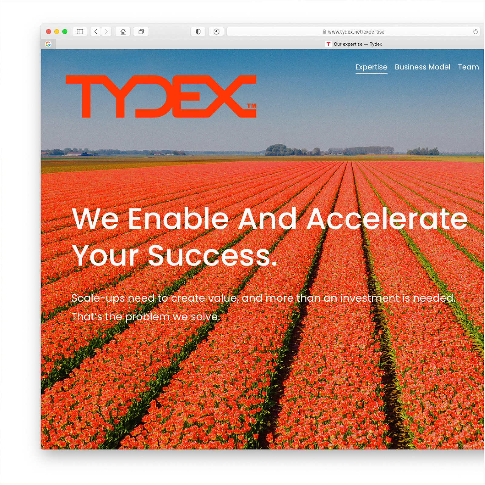 Tydex - Image 1